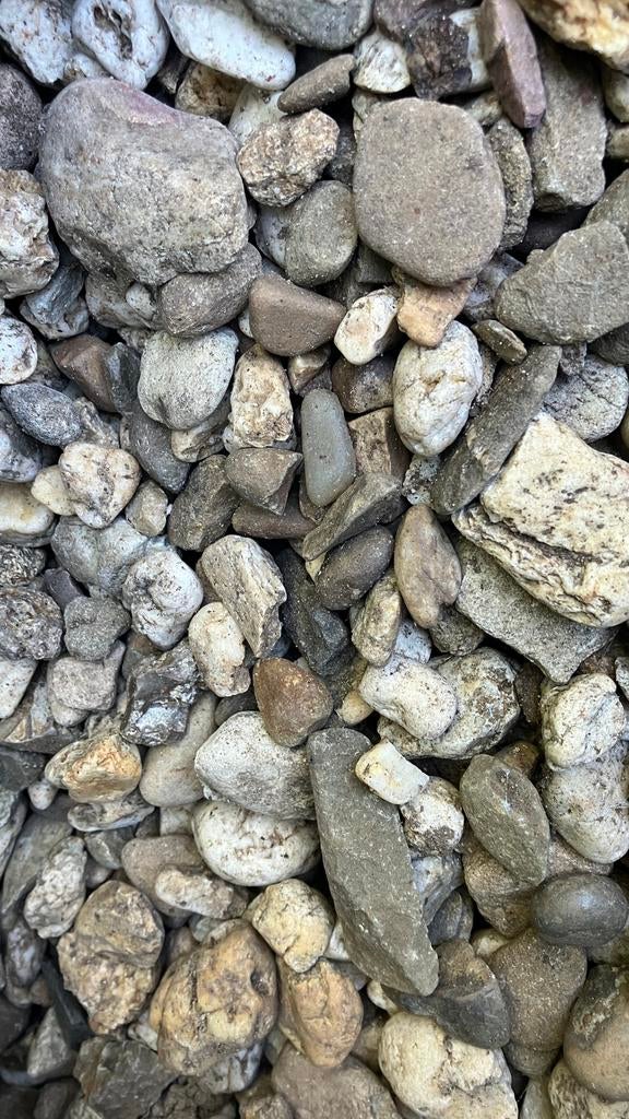 Rijngrind, (sedum) dakgrind, bont siergrind, betongrind, Ophalen, Split