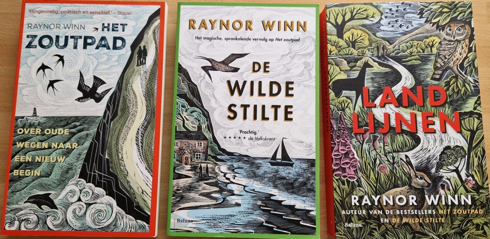 Het Zoutpad, De Wilde Stilte, Landlijnen, Boeken, Literatuur, Ophalen, Zo goed als nieuw, Raynor Winn