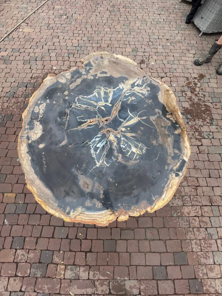 versteend hout, Ophalen, Overige typen