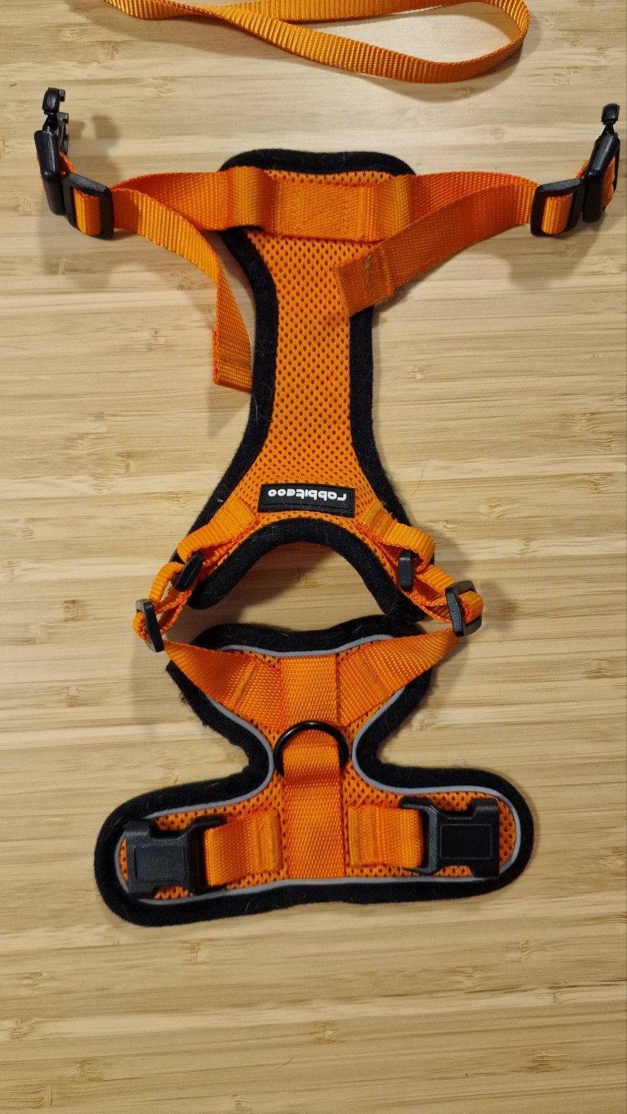 Kitten harnas XS oranje, Ophalen of Verzenden, Gebruikt