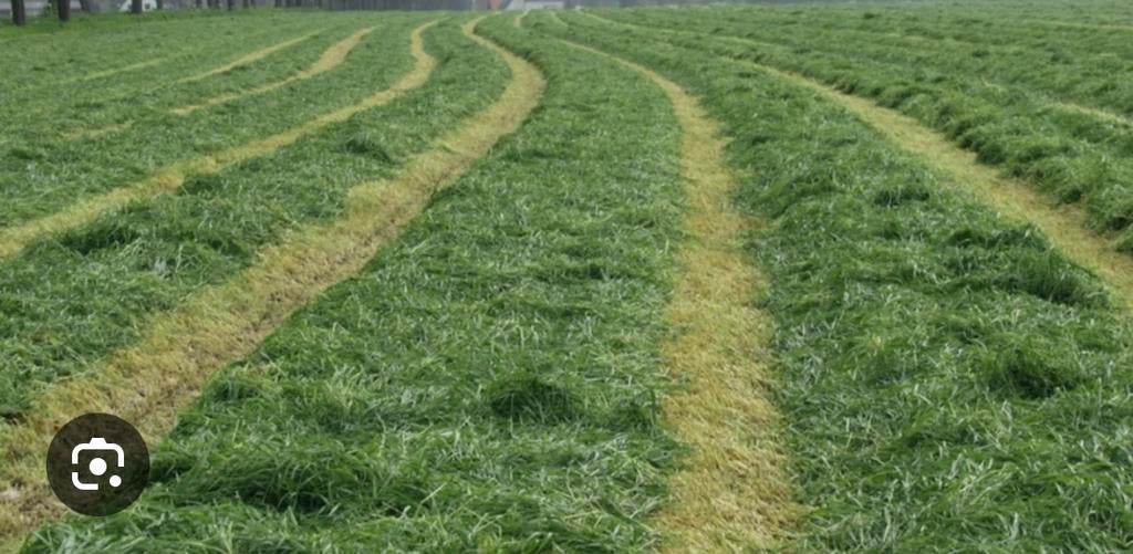GEZOCHT! Gras op stam, Zakelijke goederen, Ophalen
