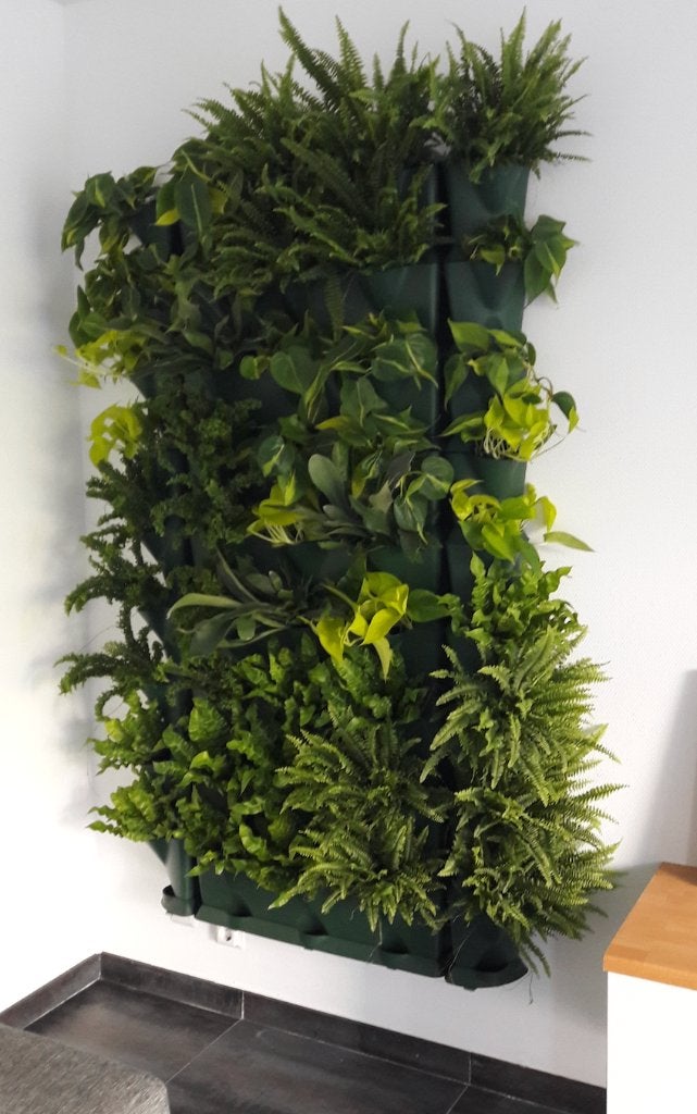 Plantenwandbakken incl. drainagesysteem (Gardena dompelpomp), Ophalen, Overige soorten, Halfschaduw, 150 tot 200 cm
