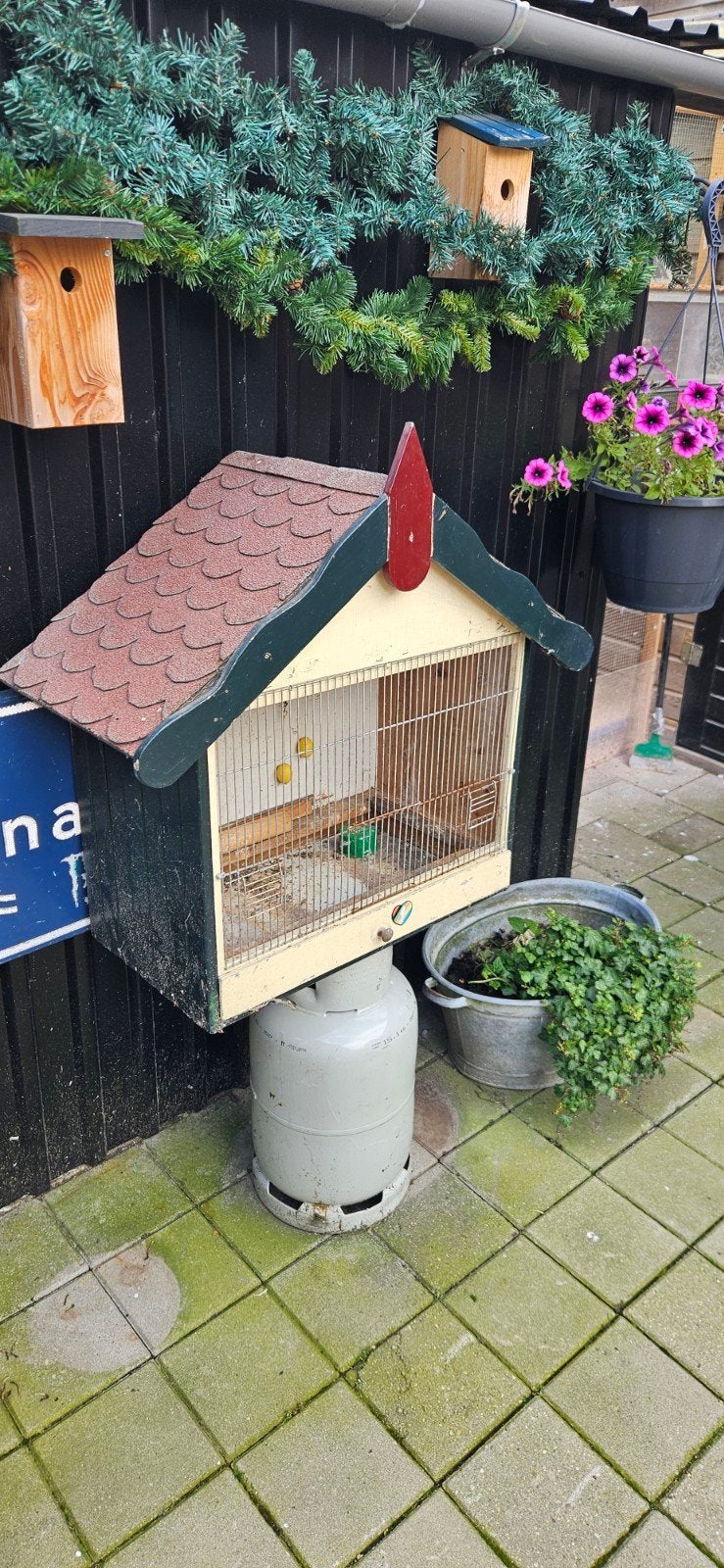 Tekoop mooie kooi, Ophalen of Verzenden