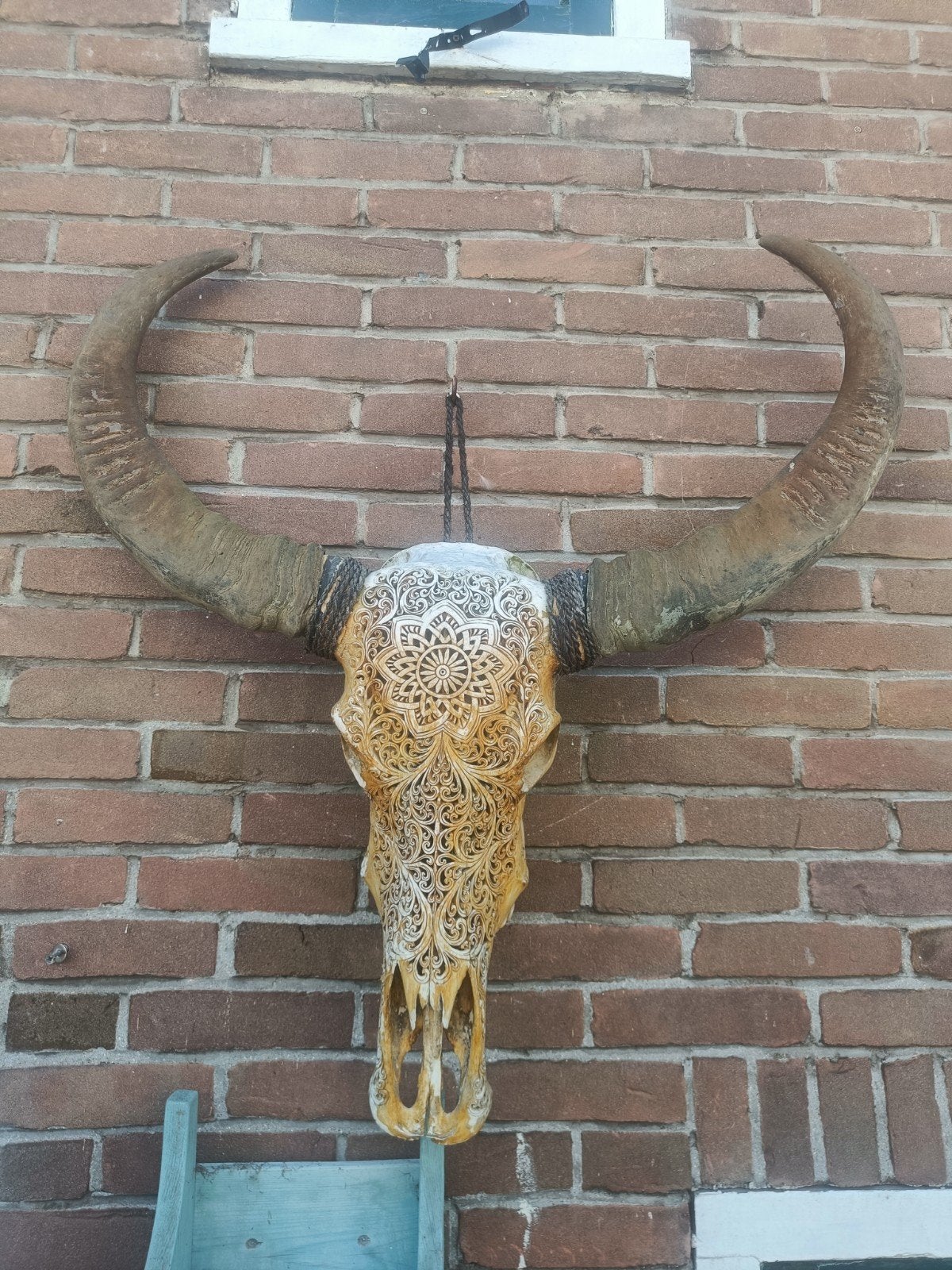 Gegraveerde buffelschedel - 82x86cm, Gebruikt, Beige, Overige stijlen, Ophalen of Verzenden