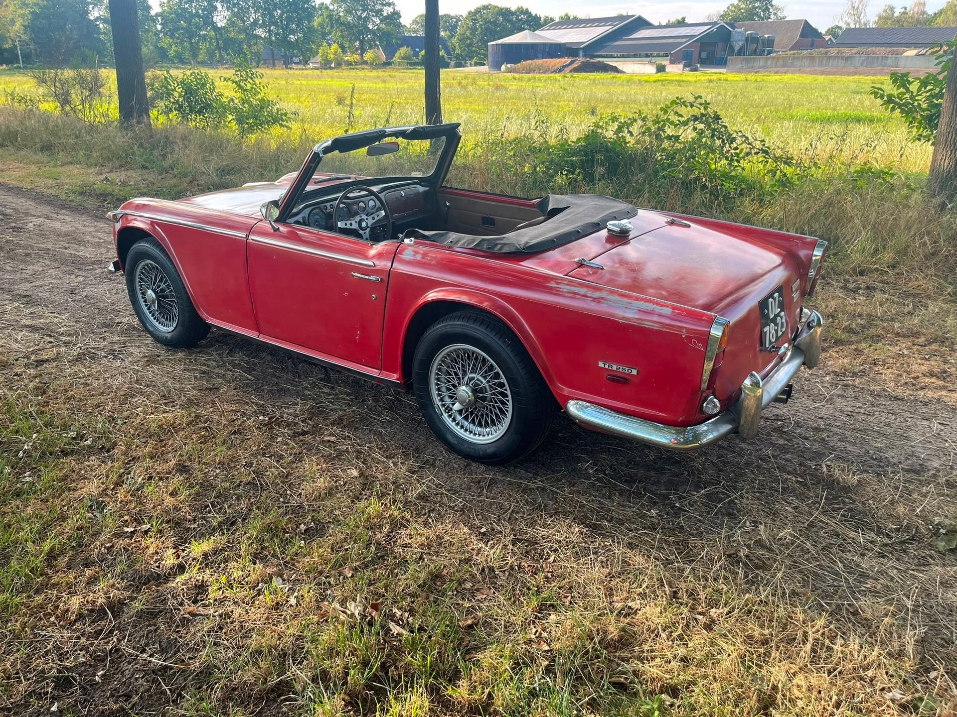 Triumph TR250 Gereviseerde motor, foto 3