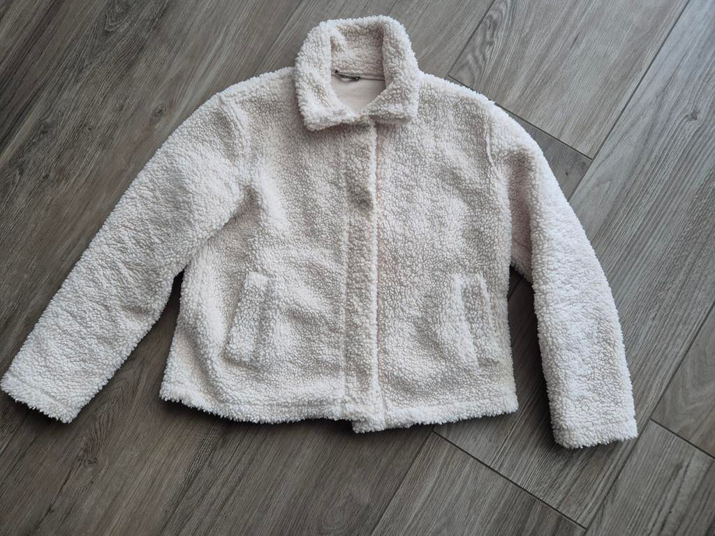 Teddy winterjas - maat M, Ophalen of Verzenden, Zo goed als nieuw, Maat 38/40 (M)