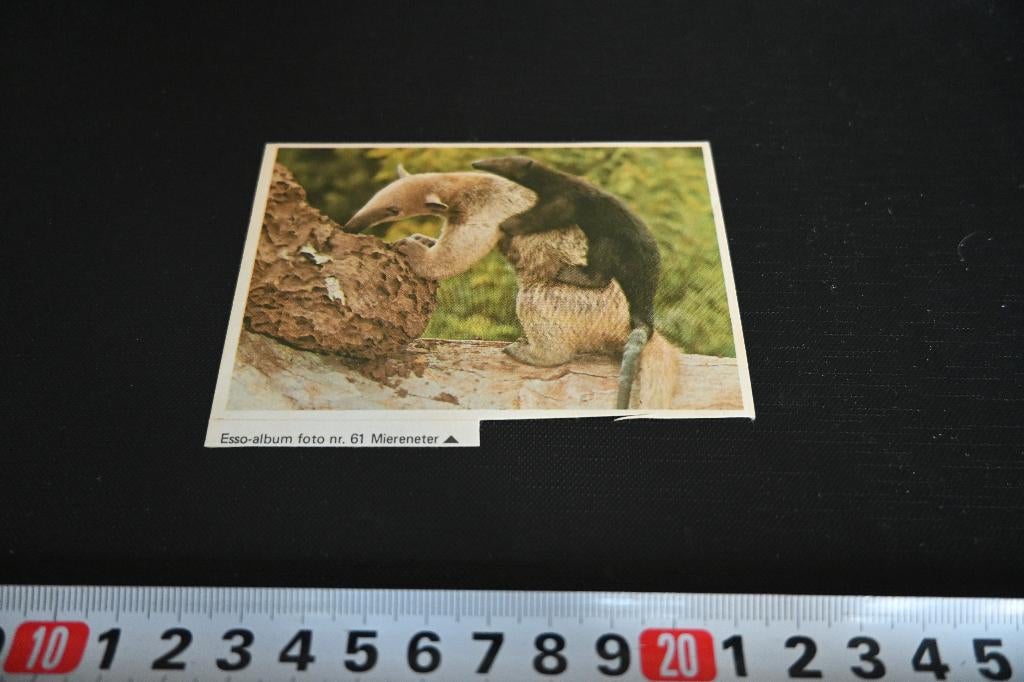sticker ESSO album 61 Miereneter, Verzamelen, Ophalen, Zo goed als nieuw