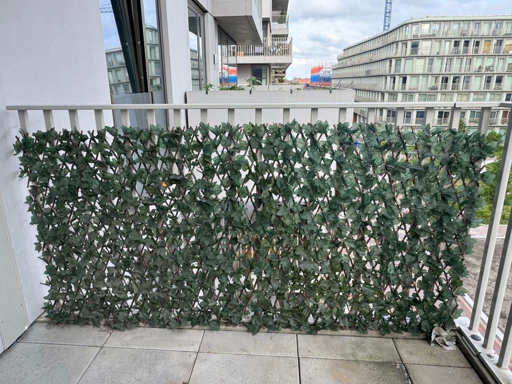 Kunsthaag met klimopbladeren Action 3x, Ophalen of Verzenden, Liguster, Minder dan 100 cm