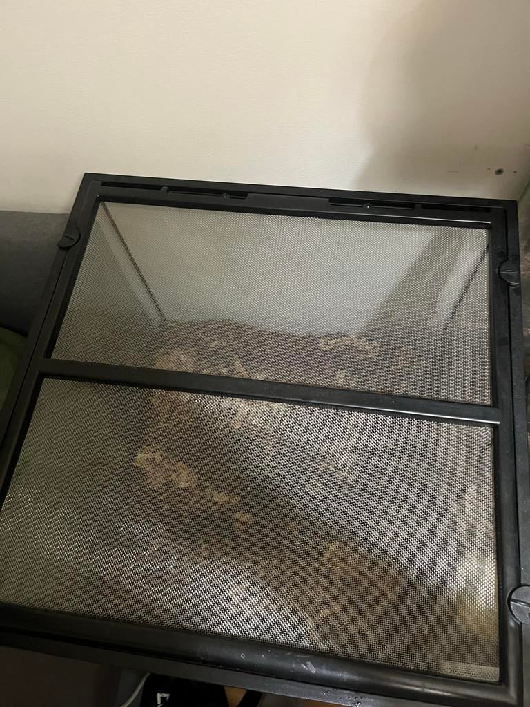 Exo terra terrarium 45x45x45, Dieren en Toebehoren, Reptielen en Amfibieën | Toebehoren, Ophalen, Gebruikt, Terrarium of Paludarium