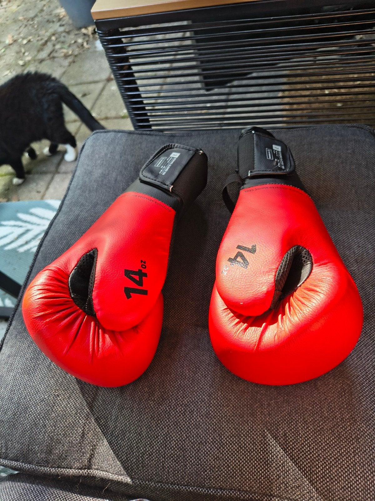 Bokshandschoenen, Sport en Fitness, Boksen, Ophalen, Zo goed als nieuw, Bokshandschoenen