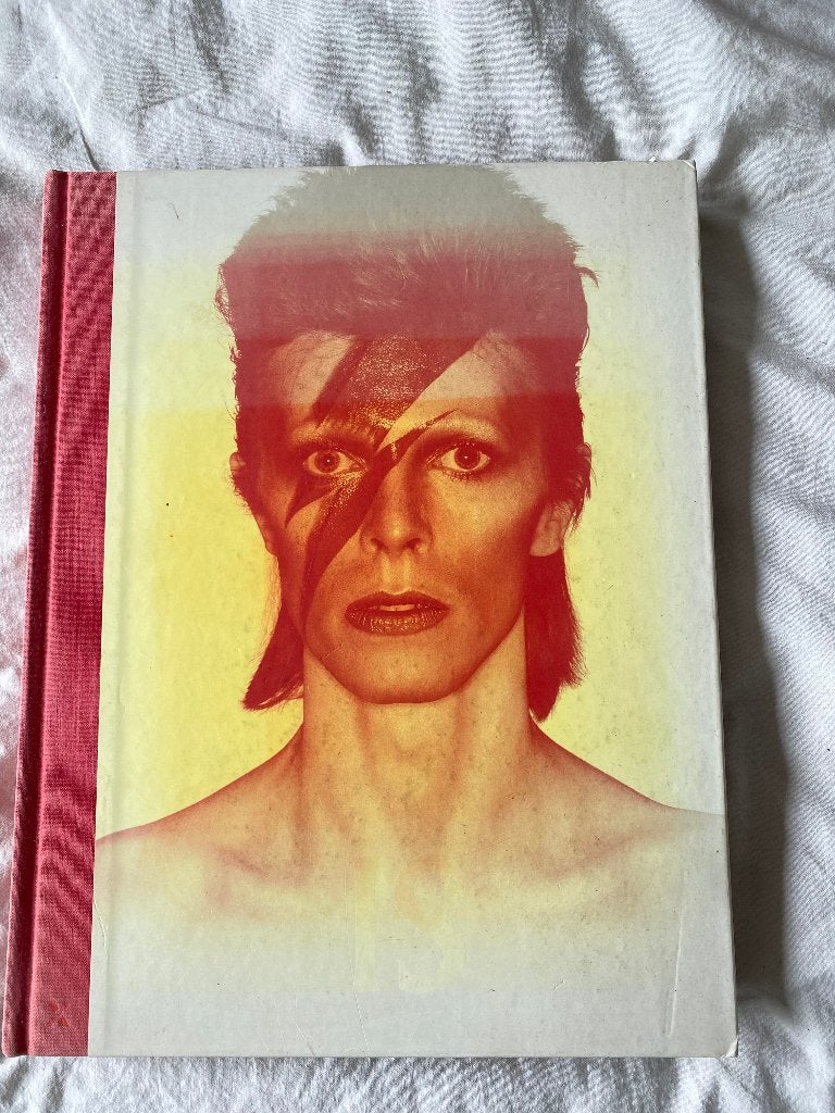 Davids Bowie IS, Boeken, Muziek, Ophalen of Verzenden, Zo goed als nieuw, Artiest