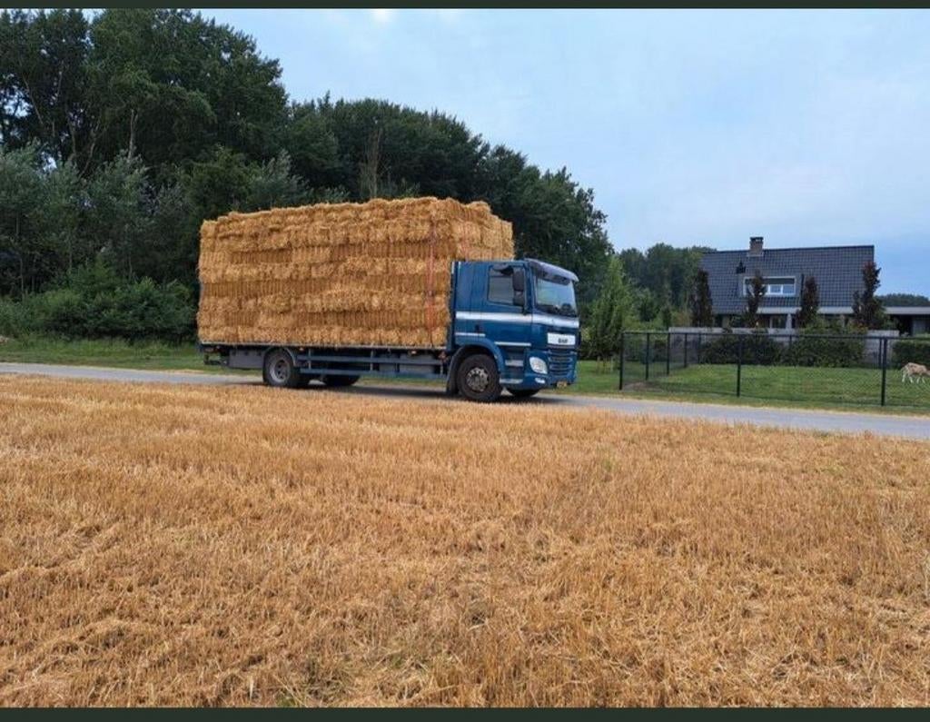 Kleine baaltjes stro, Dieren en Toebehoren, Ophalen of Verzenden