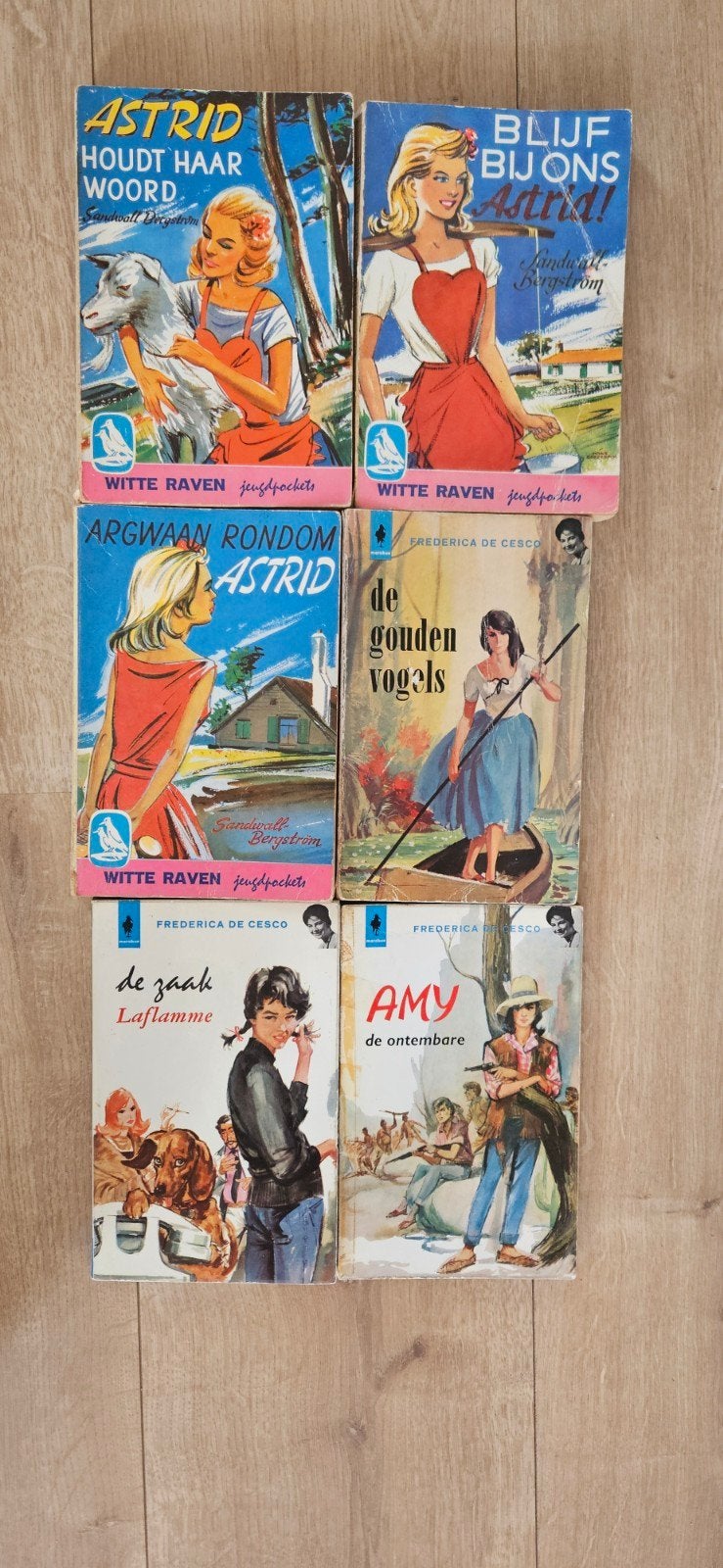 Vintage jeugdboeken: Astrid, Amy, De Gouden Vogels (6 stuks), Boeken, Ophalen of Verzenden, Gelezen, U.M. West-Friesland, Frederica de Cesco