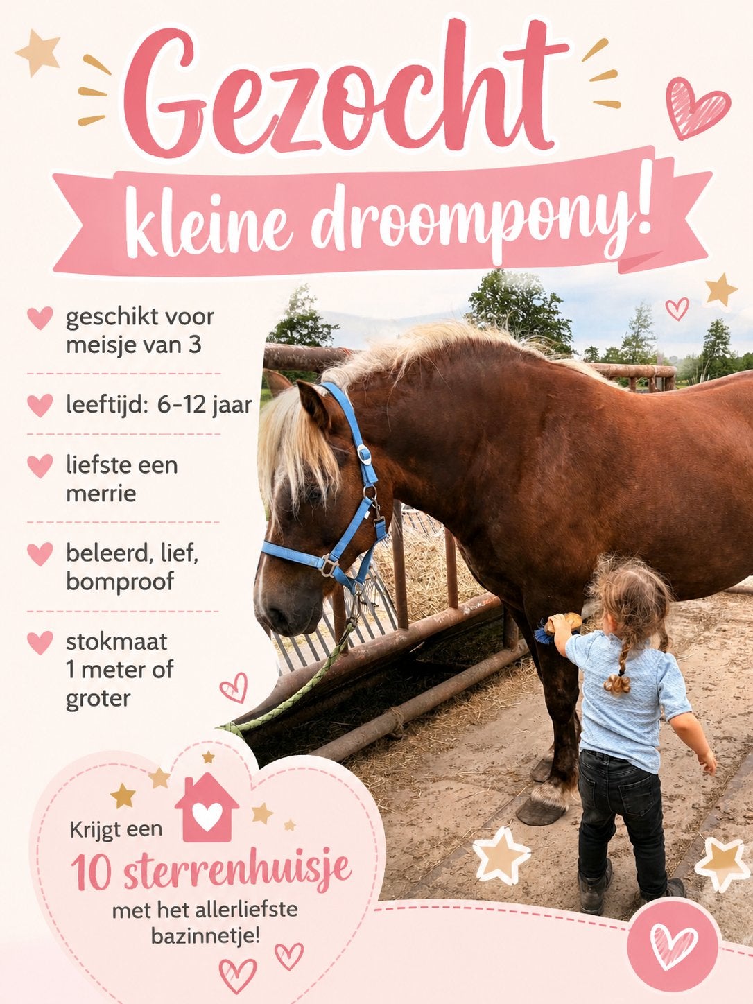 Gezocht liefste droompony !, Ophalen