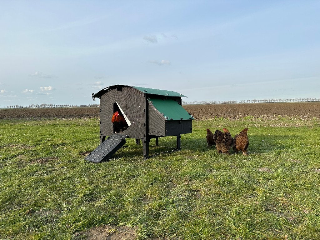 Kunststof Kippenhok – Nestera Large Op Pootjes