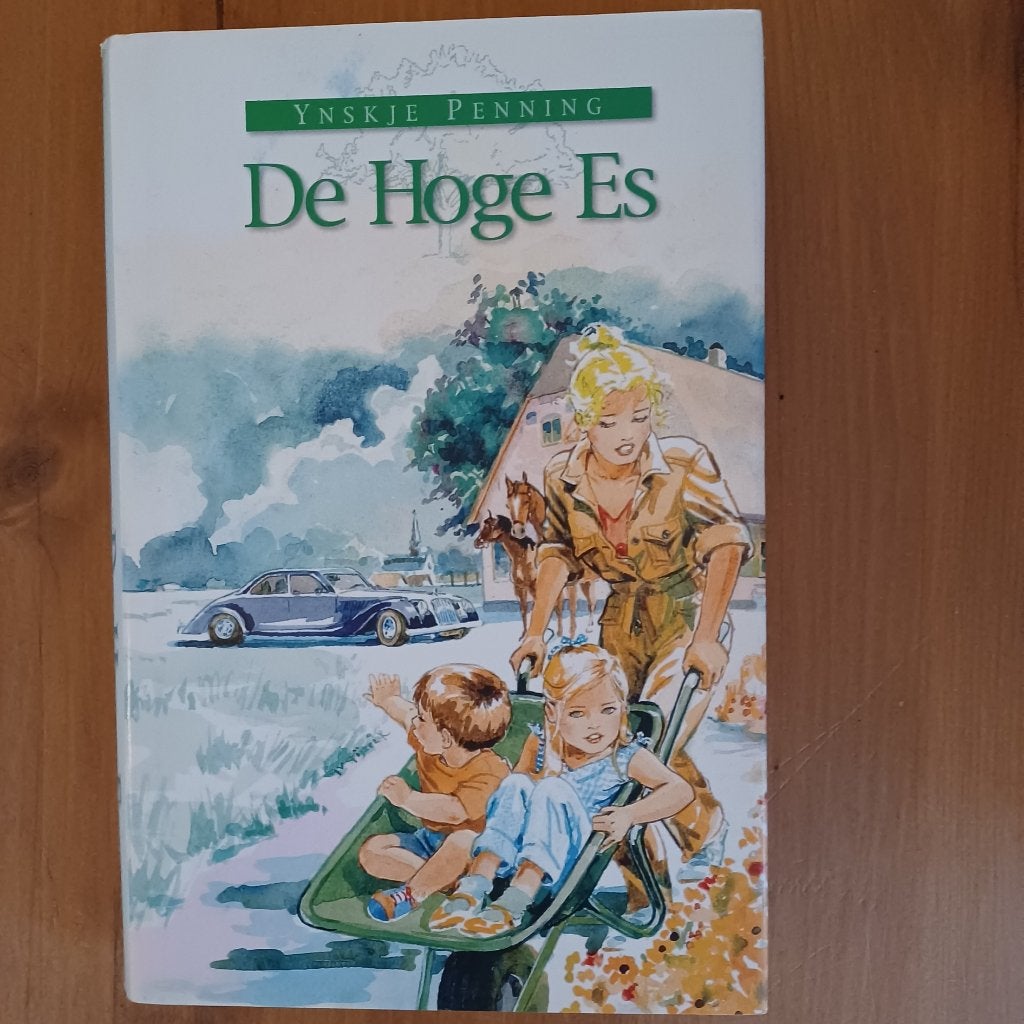 De Hoge Es, Gelezen, Ynskje Penning, Ophalen of Verzenden, Nederland