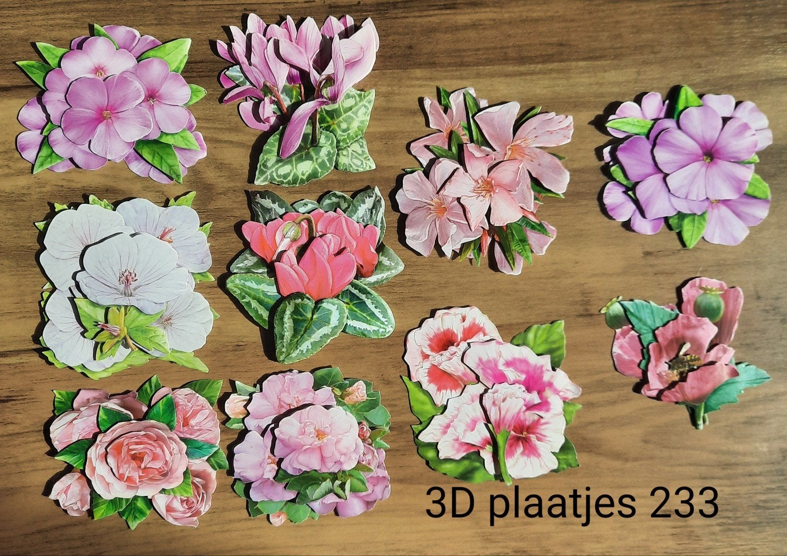 3d Plaatjes 233, Hobby en Vrije tijd, Ophalen of Verzenden, Nieuw, Overige thema's, Knipvel