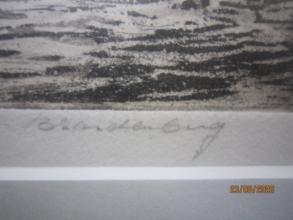 Aquat Lijnets v/d Gelsersekade te RottD., Bijl /Brandenburg, Ophalen, Ets
