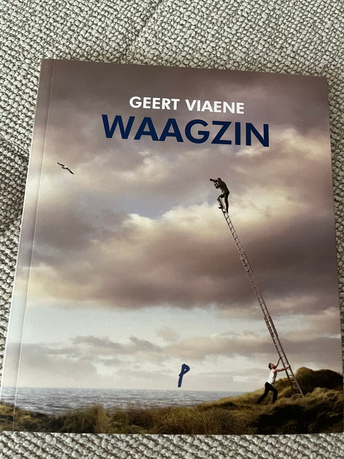 Waagzin - Geert Viaene (Poëzie), Ophalen of Verzenden, Zo goed als nieuw