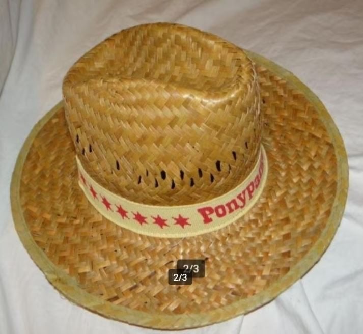 Leuke bruin/beige COWBOY/WESTERN jas + hoed  - Halloween tip, Maat 52/54 (L), Ophalen of Verzenden, Halloween, Kleding
