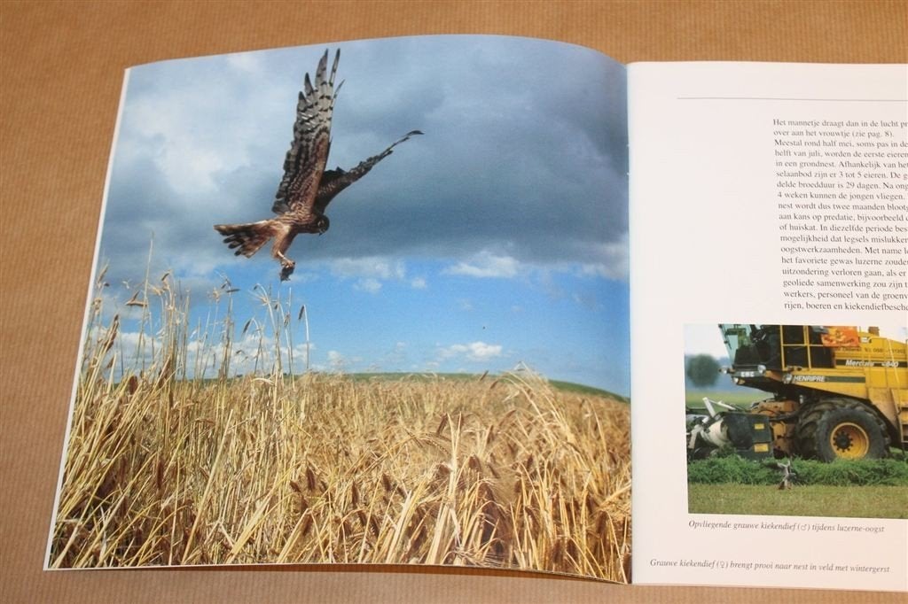 Grauwe Kiekendief — Oogst van Akkernatuur — Vogelboek, Boeken, Dieren en Huisdieren, Ophalen of Verzenden, Zo goed als nieuw, Vogels