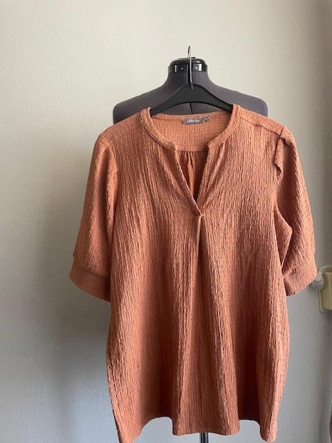 Shirt van Geisha maat 36, Kleding | Dames, T-shirts, Ophalen of Verzenden, Zo goed als nieuw, Maat 36 (S), Korte mouw