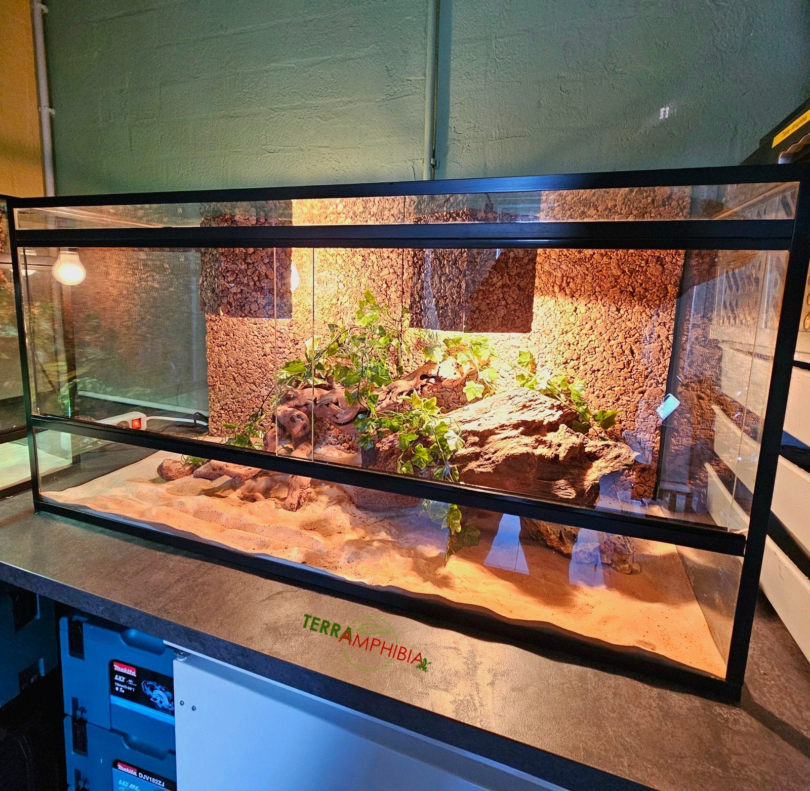 Terrarium(100x40x50)met achterwand en inrichting aangeboden!, Ophalen, Zo goed als nieuw