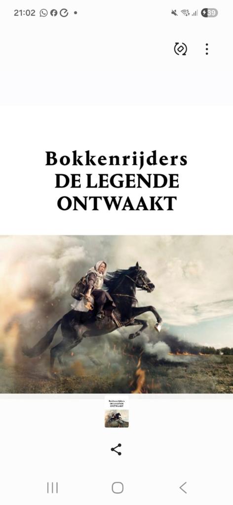 Premium kaartje voor de musical De bokkerijders in maastrich, Tickets en Kaartjes, Theater | Musical, Eén persoon, Juni