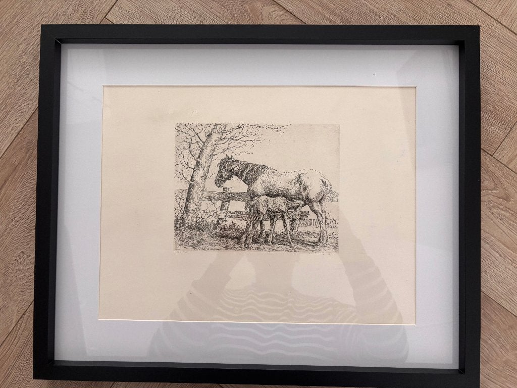Ets Merrie met haar veulen, Nico Bulder, in lijst., Antiek en Kunst, 53 cm, Genummerd, 43 cm, Ophalen of Verzenden
