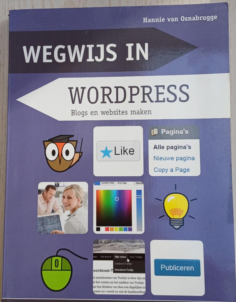 Wegwijs in Wordpress, Boeken, Ophalen of Verzenden, Zo goed als nieuw, Internet of Webdesign, Hannie van Osnabrugge