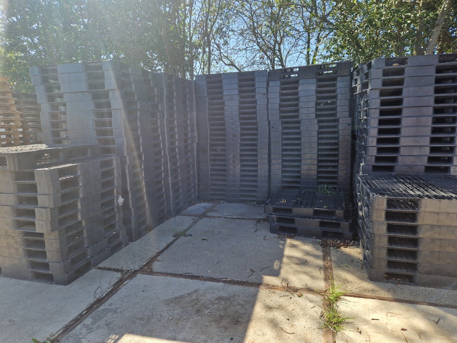 kunststof pallets voor diverse toepassingen, Ophalen