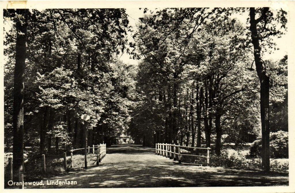 Oranjewoud, Lindenlaan - 1962 gelopen, Ophalen of Verzenden, 1960 tot 1980, Gelopen, Friesland