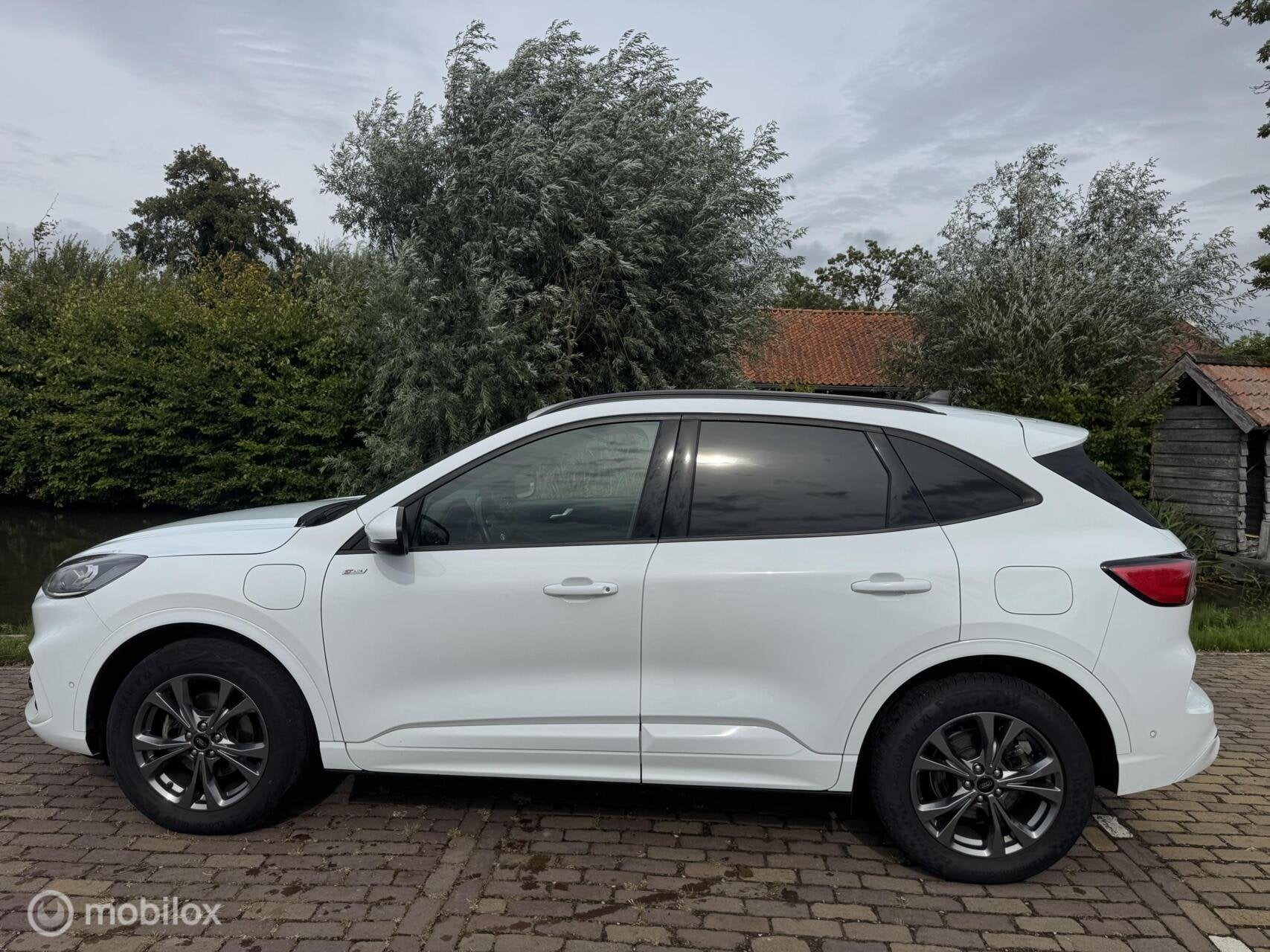 Ford Kuga 2.5 PHEV ST-Line X | Head-up | ACC | Elek. stoelen, Auto's, Gebruikt, 4 cilinders, Met garantie (alle), Wit