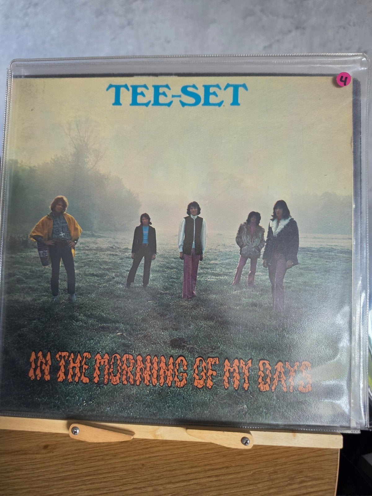 lp: tee-set - in the mornings of my days, Ophalen of Verzenden, LP