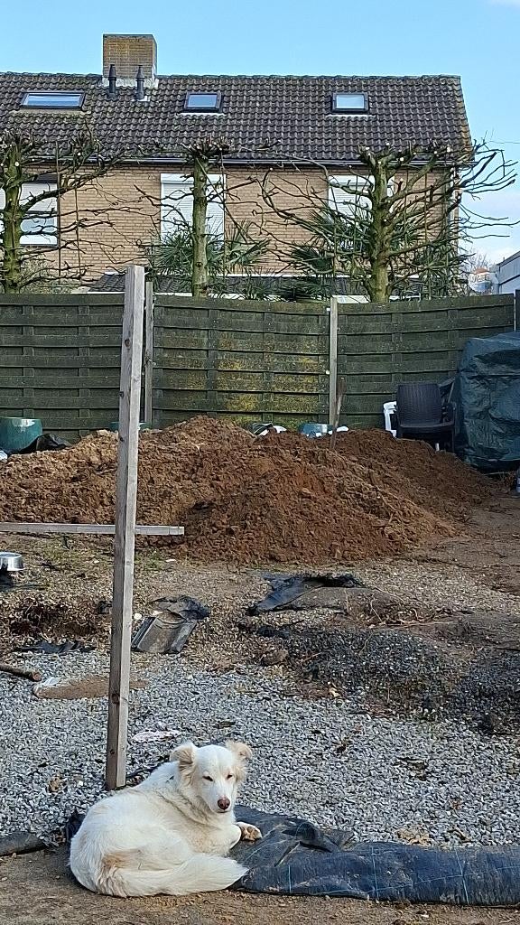 Gratis afhalen Zand, Tuin en Terras, Zand, Ophalen, Gebruikt, Ophoogzand