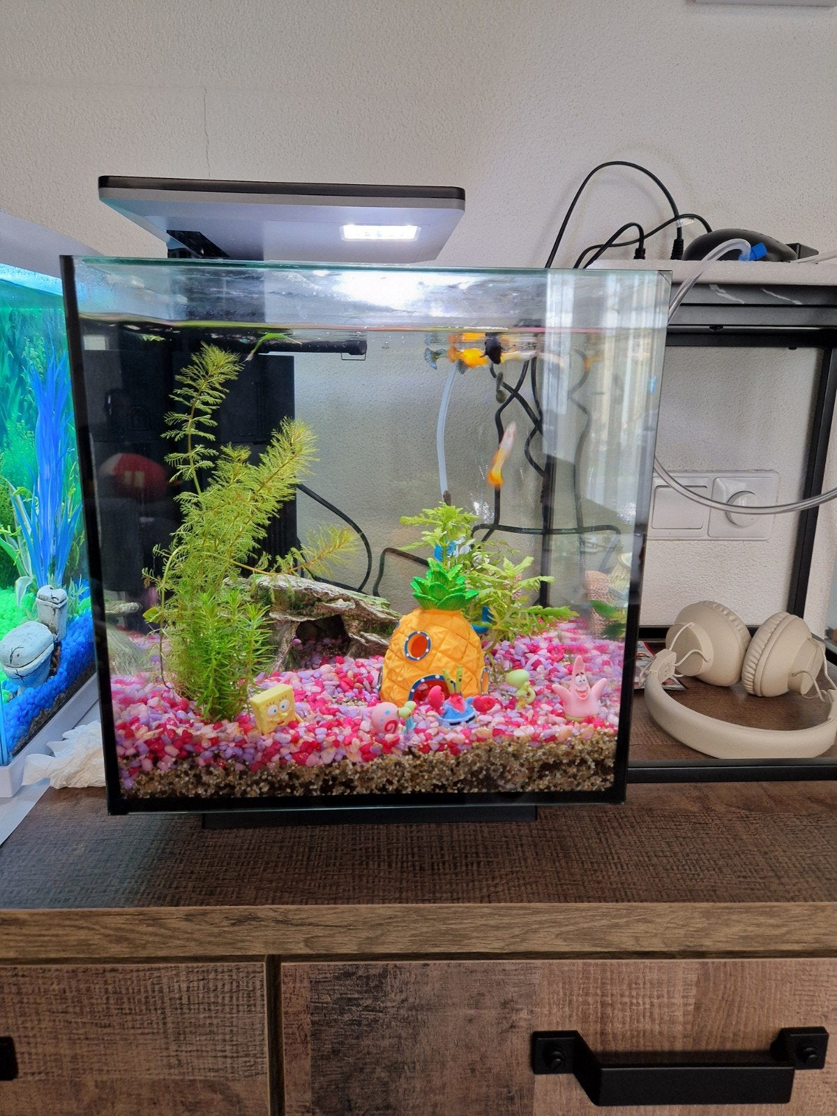Aquarium 30 liter, Ophalen, Leeg aquarium
