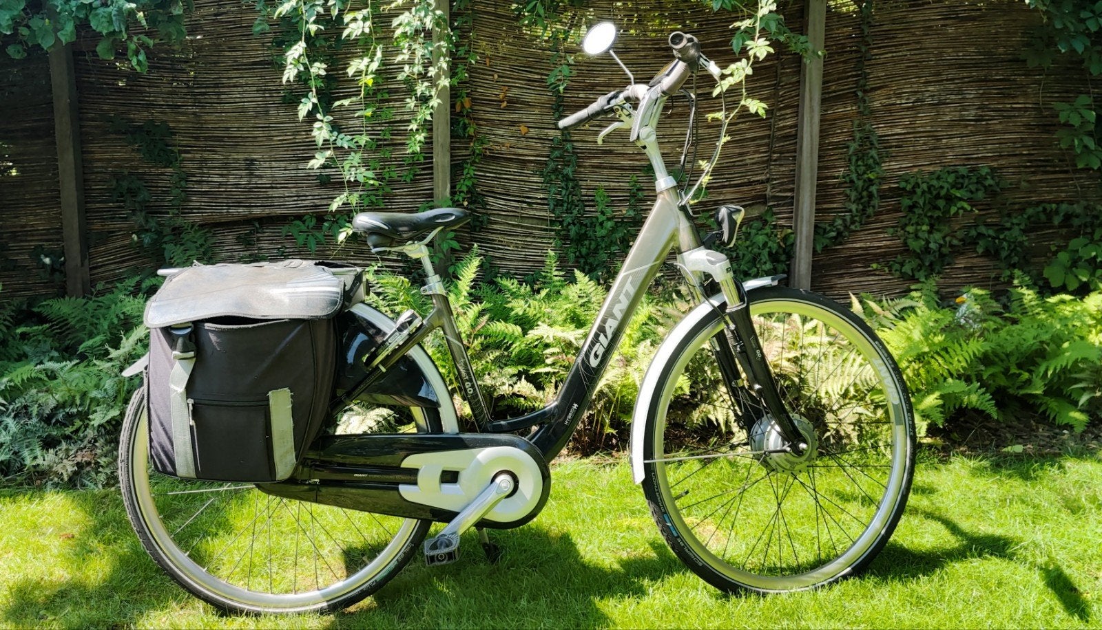 Giant Twist Go Power e-bike met 2 accu's en fietstassen, Ophalen of Verzenden, Gebruikt, Giant