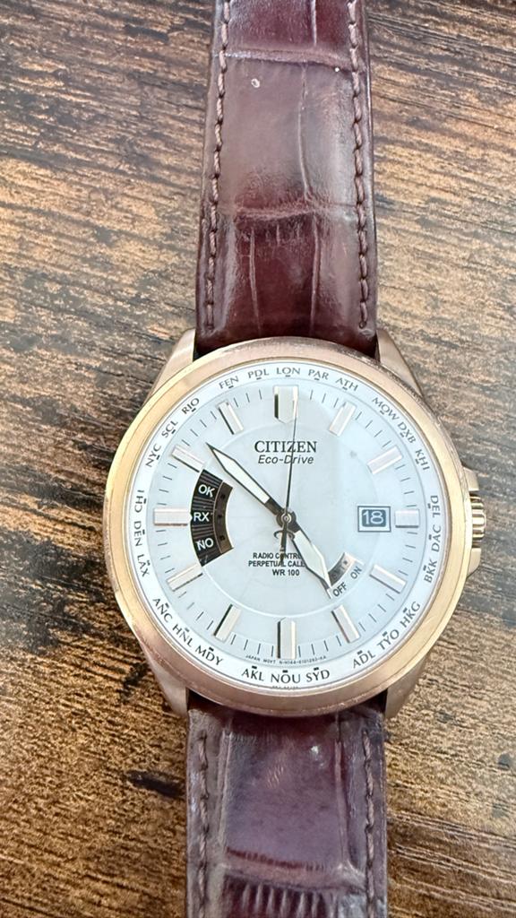Citizen Eco-Drive World Perpetual A.T. Radio Controlled, Leer, Staal, Ophalen of Verzenden, Zo goed als nieuw