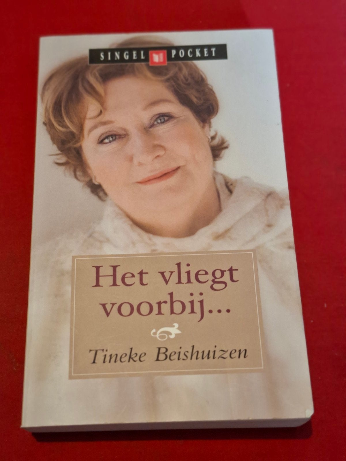 GESIGNEERD Het vliegt voorbij ..., Tineke Beishuizen., Ophalen of Verzenden, Gelezen
