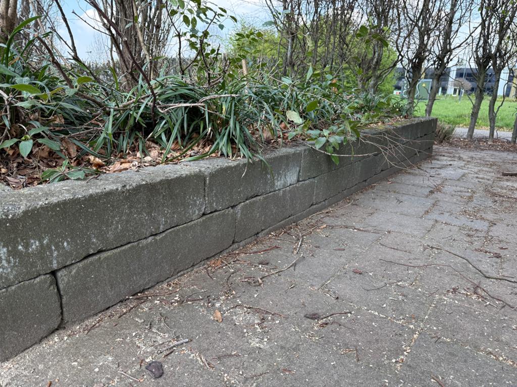 Bielzen (25st), Tuin en Terras, Ophalen, Gebruikt, Minder dan 25 cm, Border