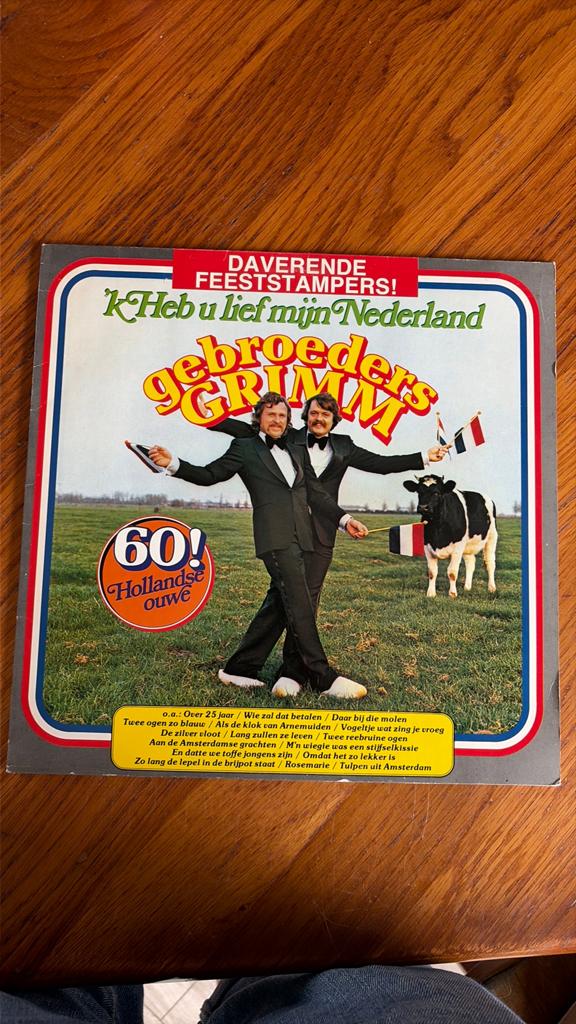 Gebroeders Grimm - 'k Heb u lief mijn Nederland LP, Gebruikt, Ophalen of Verzenden, 1970 - 1979, Levenslied of Smartlap