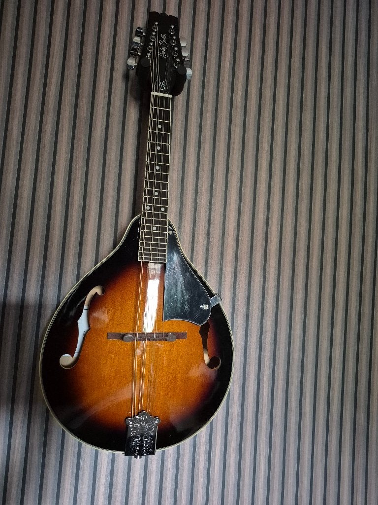Mandoline ook nieuwe set snaren in zakje erbij, Muziek en Instrumenten, Ophalen, Zo goed als nieuw