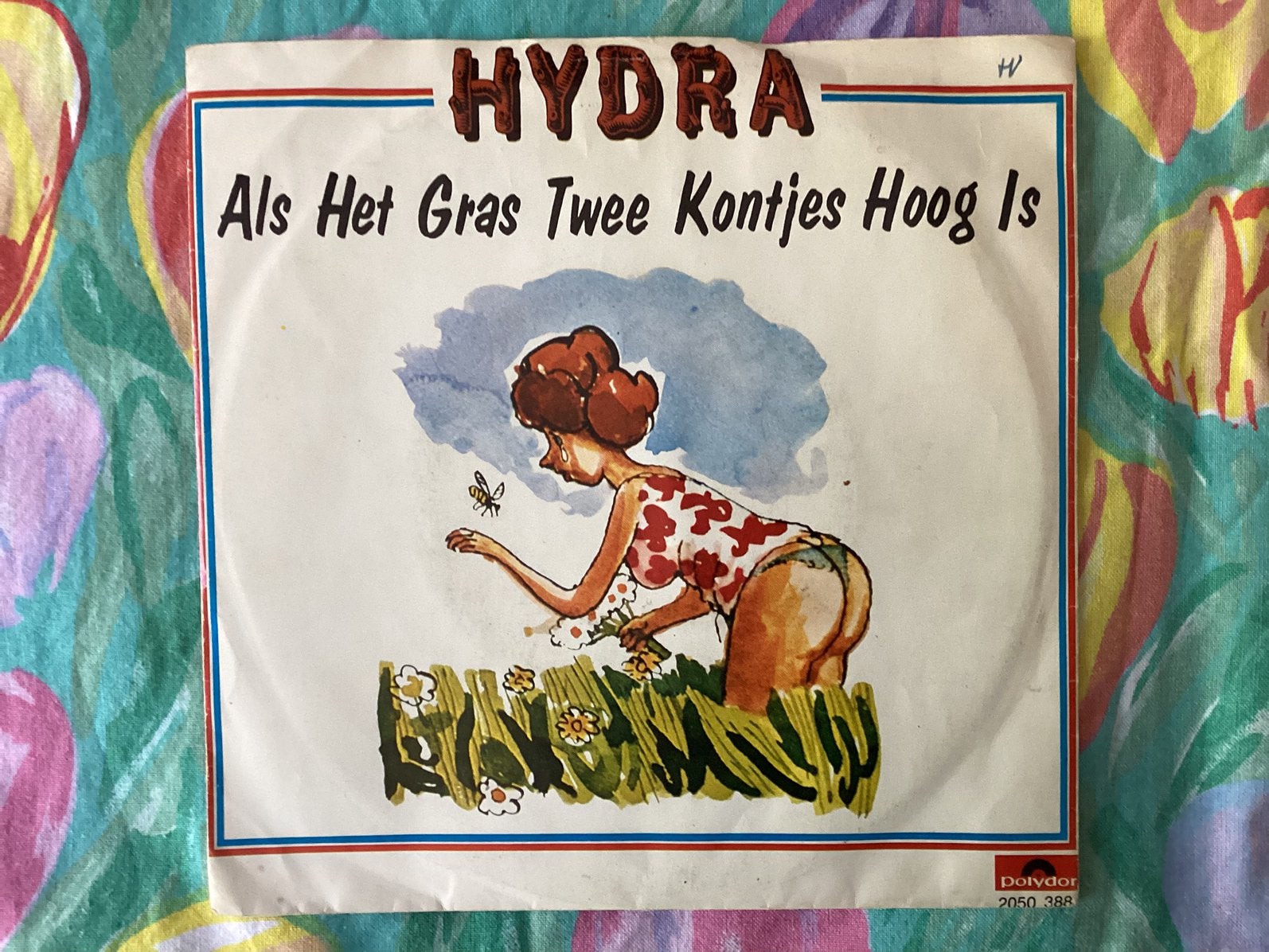 Hydra   Als het gras twee kontjes hoog is., Ophalen of Verzenden, Zo goed als nieuw, Nederlandstalig