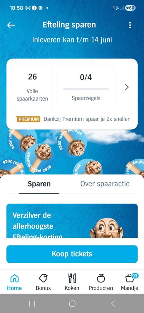 AH EFTELING KORTINGSKAARTEN VAN €14,00, Tickets en Kaartjes, Drie personen of meer, Kortingsbon, Pretpark