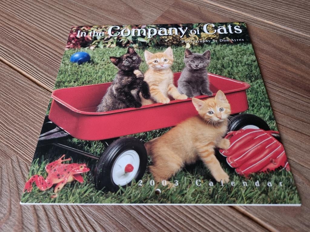 Prachtige Katten Kalender in the Company of Cats Jaar 2003, Verzenden, Maandkalender, Zo goed als nieuw