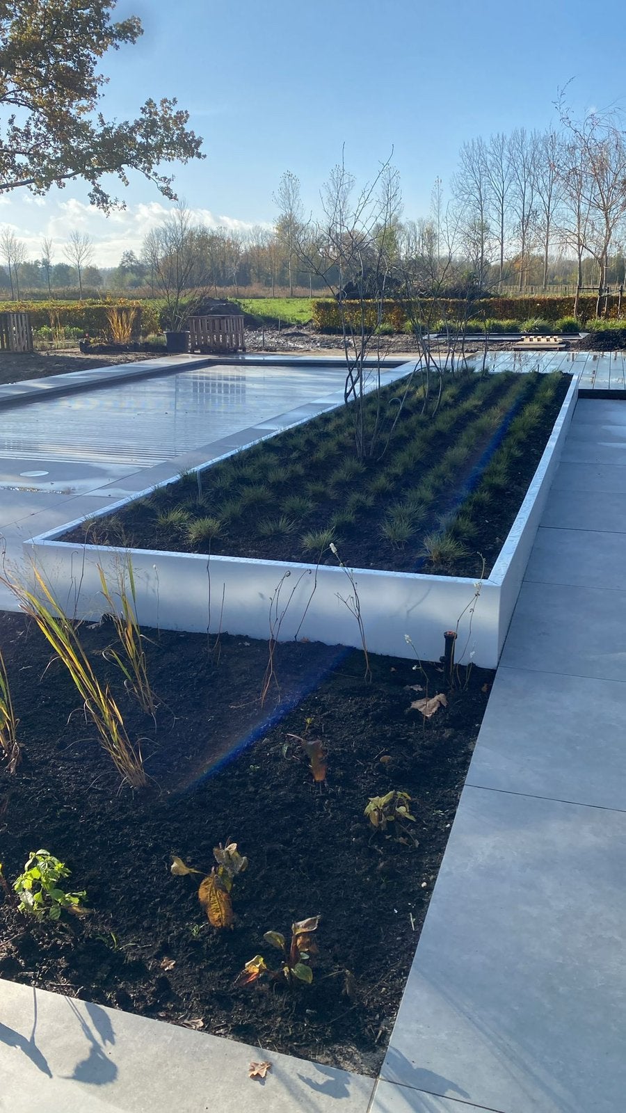 grote plantenbakken in de kleur wit , zwart en antraciet, Ophalen of Verzenden, Nieuw, Metaal, Balkon