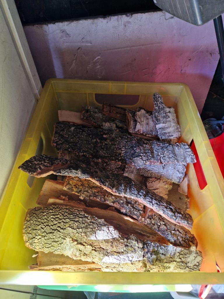 Boomschors voor knutselen en hobby - per stuk of partij, Hobby en Vrije tijd, Knutselen, Gebruikt, Ophalen of Verzenden, Natuurlijk materiaal