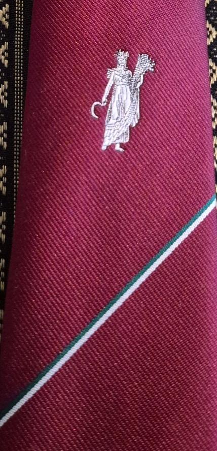 WSV Ceres Wageningse Studenten Vereniging stropdas rood, Kleding | Heren, Stropdassen, Ophalen of Verzenden, Nieuw, Rood