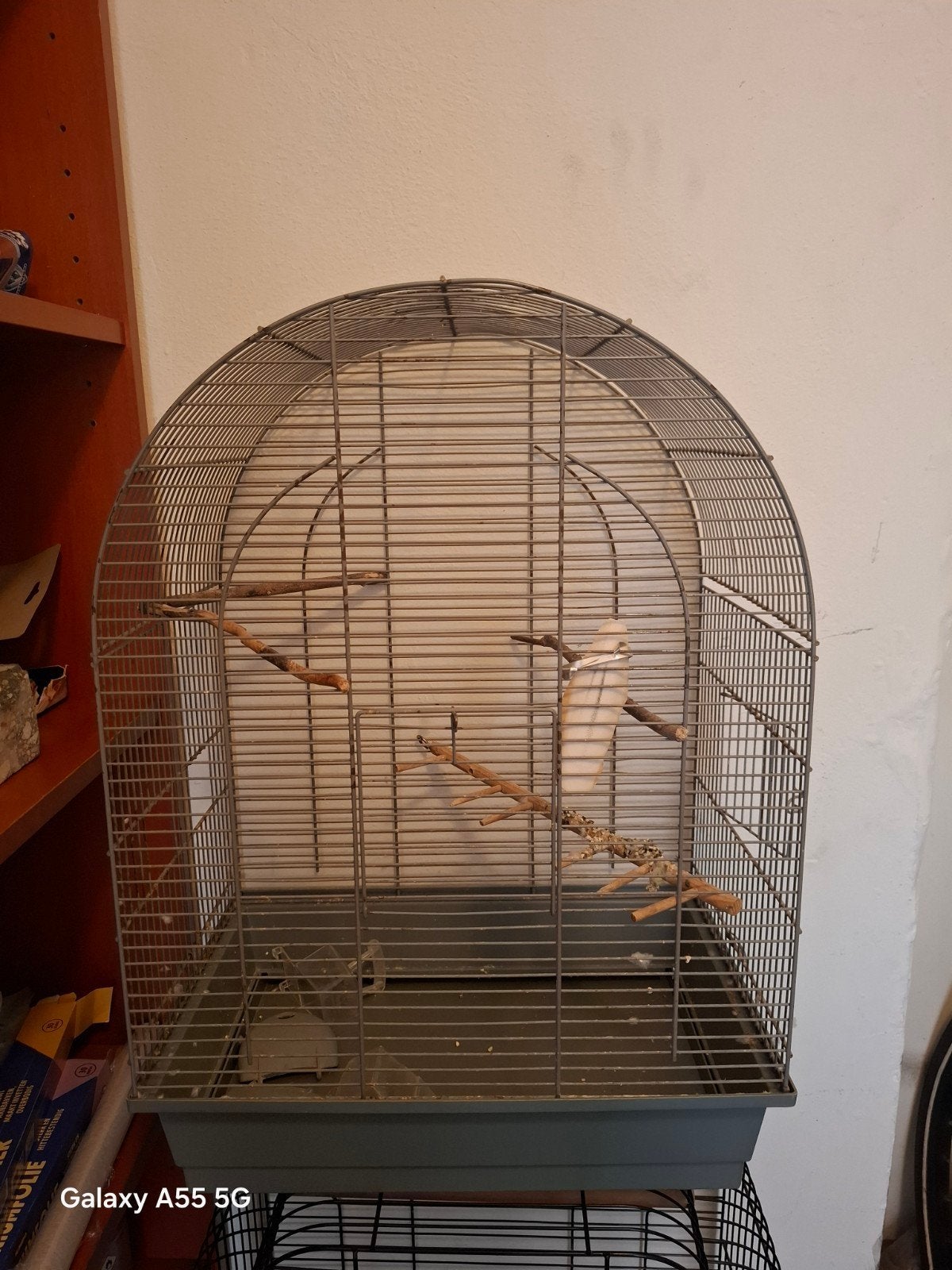 Vogelkooi, Ophalen, Gebruikt, Metaal, Vogelkooi