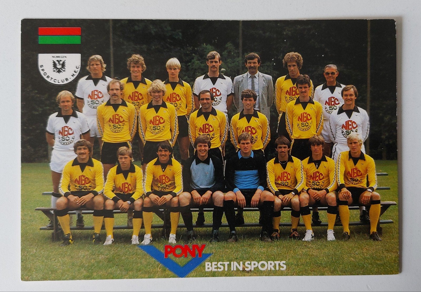 NEC Nijmegen spelerskaart teamfoto 1980/81, Verzenden, Zo goed als nieuw, Overige binnenlandse clubs, Spelerskaart